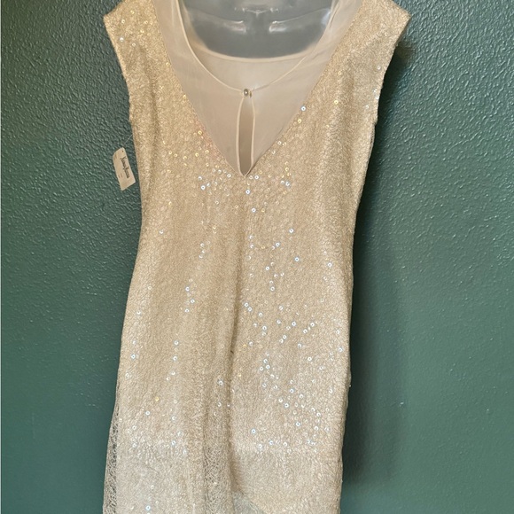 Cynthia Steffe Sequin Shift Dress w delicate details Sz 6/8 (NEW w TAG) - Picture 2 of 7